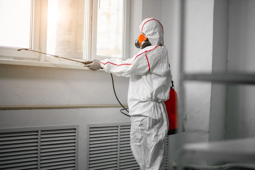 Professional mold remediation services in Eastham, MA
